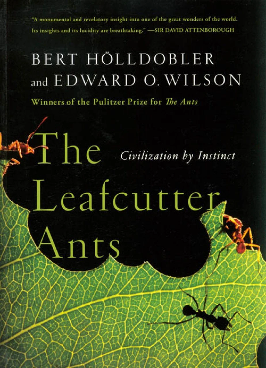 The Leafcutter Ants 3 The Leafcutter Ants