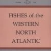 Fishes Of The Western North Atlantic, Part 8 2 Fishes Of The Western North Atlantic, Part 8 -Wildlife Professional Books 186523