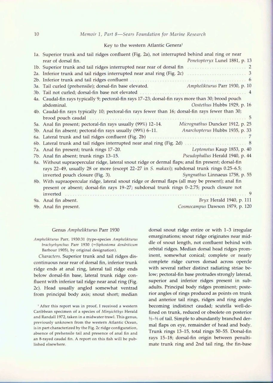 Fishes Of The Western North Atlantic, Part 8 4 Fishes Of The Western North Atlantic, Part 8 - Image 2