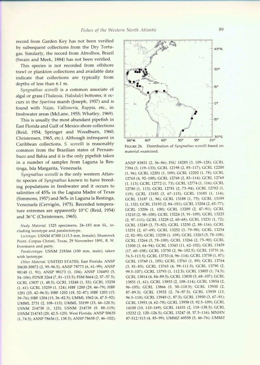Fishes Of The Western North Atlantic, Part 8 7 Fishes Of The Western North Atlantic, Part 8 - Image 5