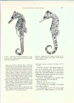 Fishes Of The Western North Atlantic, Part 8 16 Fishes Of The Western North Atlantic, Part 8 -Wildlife Professional Books 186523 6