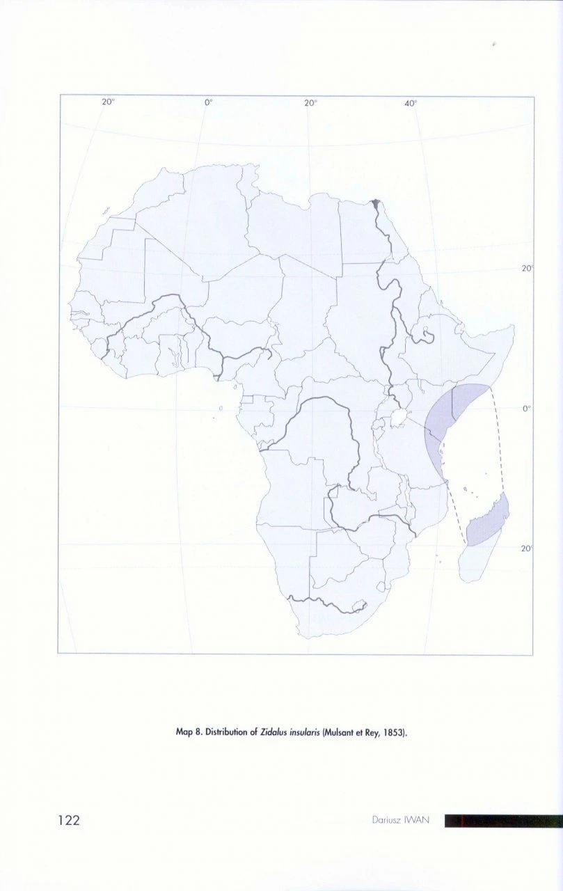 Faune De Madagascar, Fasc. 93 - Insecta Coleoptera Tenebrionidae 4 Faune De Madagascar, Fasc. 93 - Insecta Coleoptera Tenebrionidae - Image 2