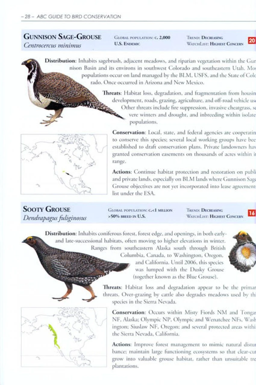 The American Bird Conservancy Guide To Bird Conservation 4 The American Bird Conservancy Guide To Bird Conservation - Image 2