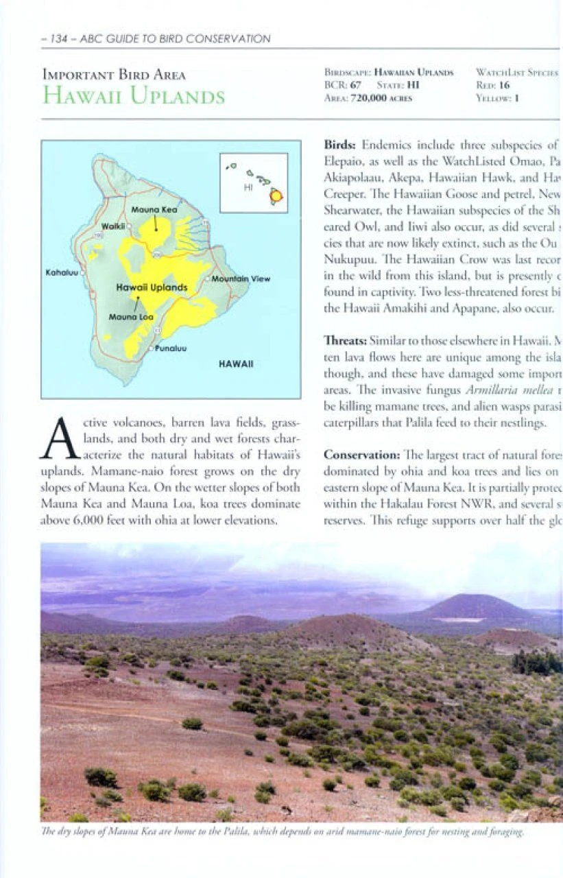 The American Bird Conservancy Guide To Bird Conservation 5 The American Bird Conservancy Guide To Bird Conservation - Image 3