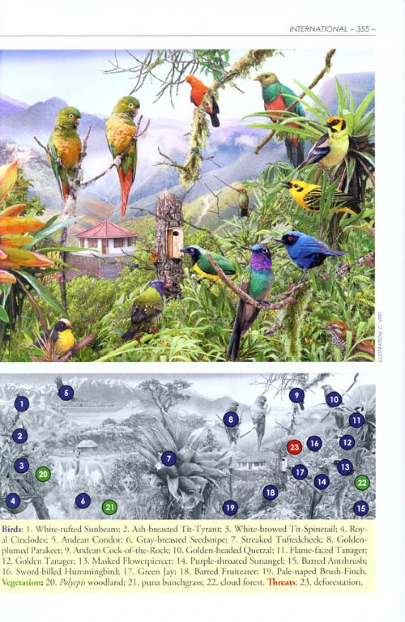 The American Bird Conservancy Guide To Bird Conservation 7 The American Bird Conservancy Guide To Bird Conservation - Image 5