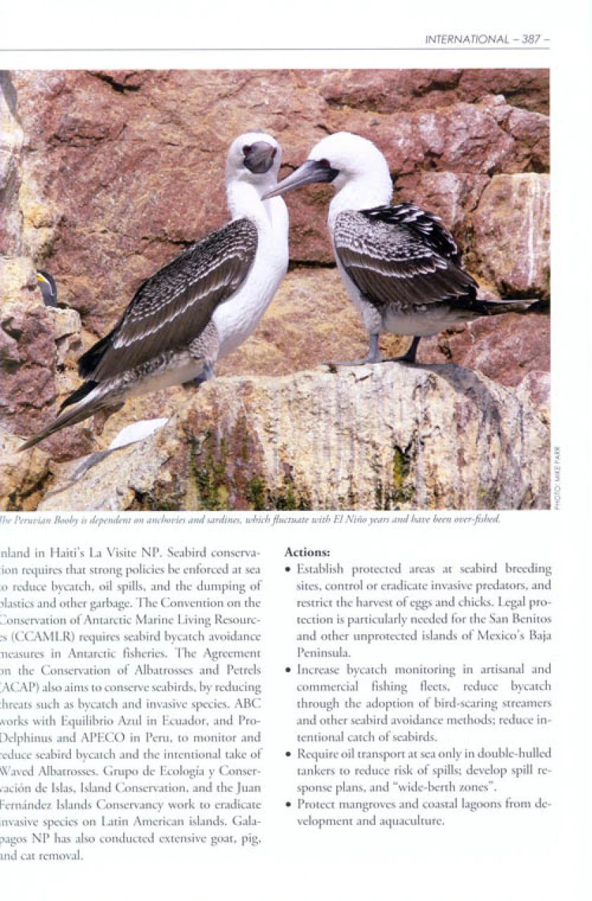 The American Bird Conservancy Guide To Bird Conservation 9 The American Bird Conservancy Guide To Bird Conservation - Image 7