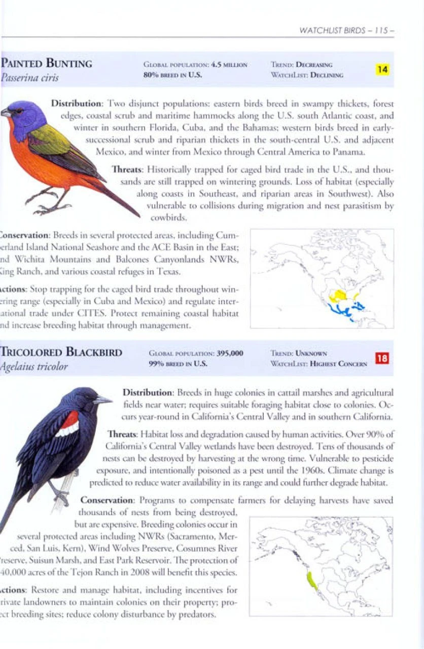 The American Bird Conservancy Guide To Bird Conservation 10 The American Bird Conservancy Guide To Bird Conservation - Image 8