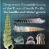 Tropical Deep-Sea Benthos, Volume 26 -Wildlife Professional Books 187021