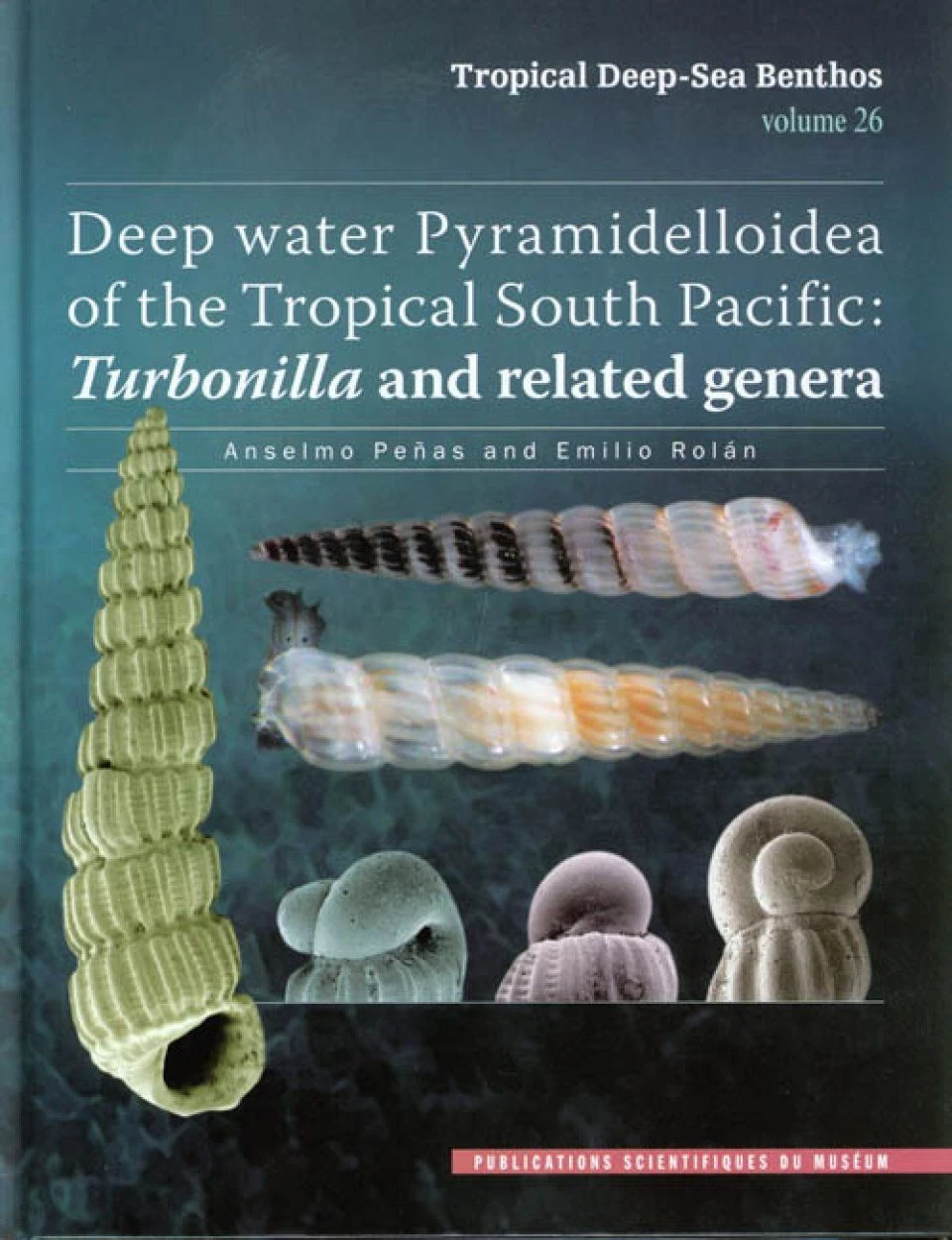 Tropical Deep-Sea Benthos, Volume 26 3 Tropical Deep-Sea Benthos, Volume 26