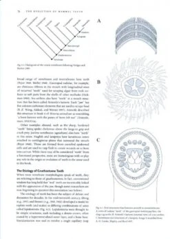 Mammal Teeth -Wildlife Professional Books 187109 1