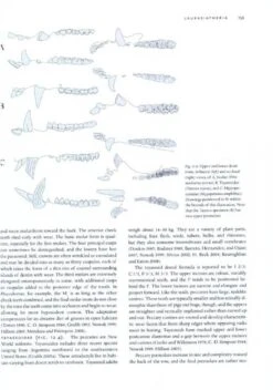 Mammal Teeth -Wildlife Professional Books 187109 2