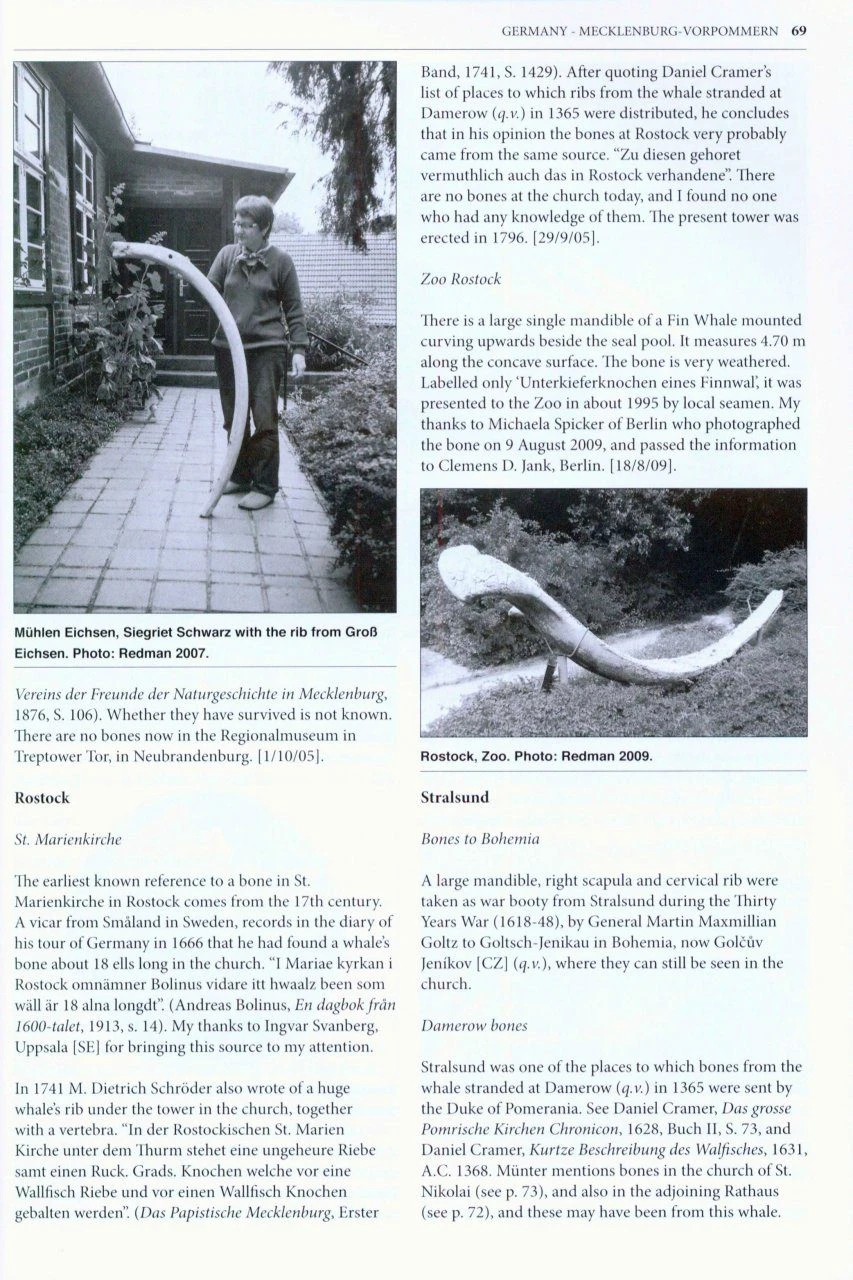 Whales' Bones Of Germany, Austria, Czech Republic & Switzerland 5 Whales' Bones Of Germany, Austria, Czech Republic & Switzerland - Image 3