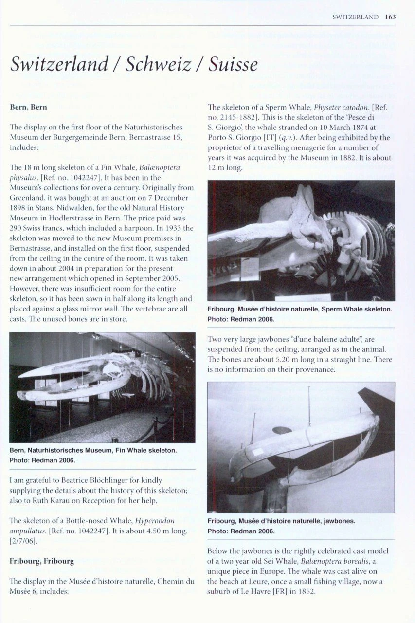 Whales' Bones Of Germany, Austria, Czech Republic & Switzerland 7 Whales' Bones Of Germany, Austria, Czech Republic & Switzerland - Image 5