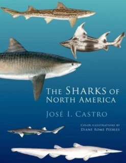 The Sharks Of North America