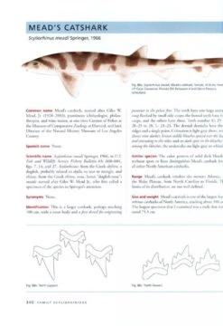 The Sharks Of North America 10 The Sharks Of North America -Wildlife Professional Books 187424 3