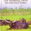 The Vanishing Herds 1 The Vanishing Herds -Wildlife Professional Books 187842