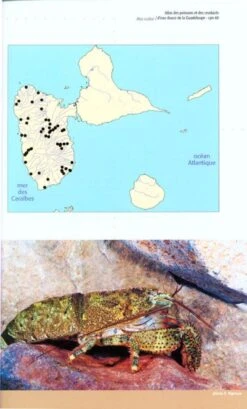 Atlas Des Poissons Et Des Crustacés D'Eau Douce De La Guadeloupe [Freshwater Fish And Crustacean Atlas Of Guadeloupe] -Wildlife Professional Books 188730 2