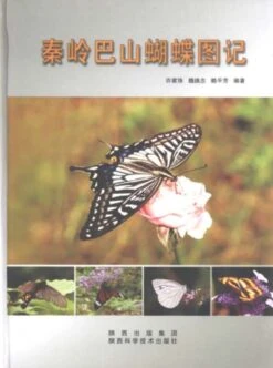 Atlas Of Butterflies Of MT. Qinling-Bashan In China [Chinese]