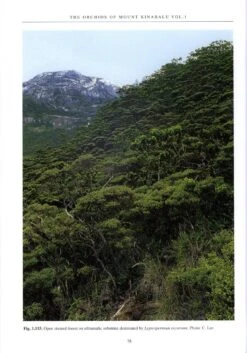 The Orchids Of Mount Kinabalu (2-Volume Set) -Wildlife Professional Books 189548 2