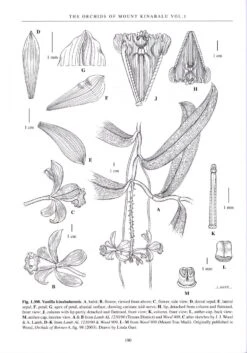 The Orchids Of Mount Kinabalu (2-Volume Set) -Wildlife Professional Books 189548 3