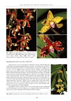 The Orchids Of Mount Kinabalu (2-Volume Set) -Wildlife Professional Books 189548 5