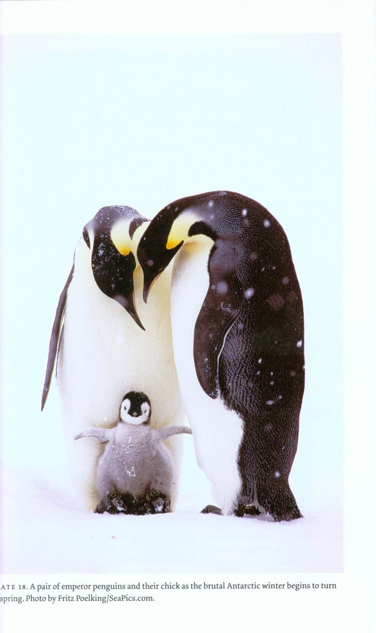 Sex, Drugs, And Sea Slime 5 Sex, Drugs, And Sea Slime - Image 3