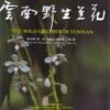 The Wild Orchids In Yunnan [Chinese] -Wildlife Professional Books 190121