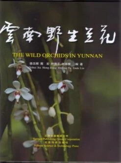 The Wild Orchids In Yunnan [Chinese]