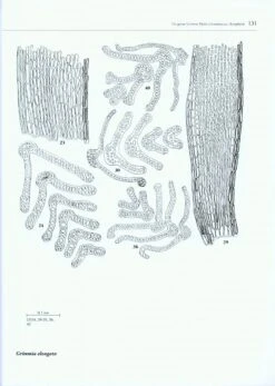 Boissiera, Volume 63: The Genus Grimmia Hedw. (Grimmiaceae, Bryophyta) 9 Boissiera, Volume 63: The Genus Grimmia Hedw. (Grimmiaceae, Bryophyta) -Wildlife Professional Books 190168 2