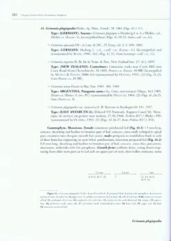 Boissiera, Volume 63: The Genus Grimmia Hedw. (Grimmiaceae, Bryophyta) 11 Boissiera, Volume 63: The Genus Grimmia Hedw. (Grimmiaceae, Bryophyta) -Wildlife Professional Books 190168 4