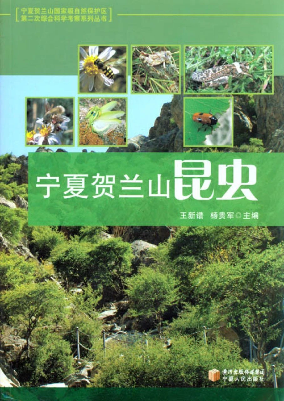 Insects In Helan Mountain Of Ningxia Hui Autonomous Region (Ningxia Helanshan Kunchong) 3 Insects In Helan Mountain Of Ningxia Hui Autonomous Region (Ningxia Helanshan Kunchong)