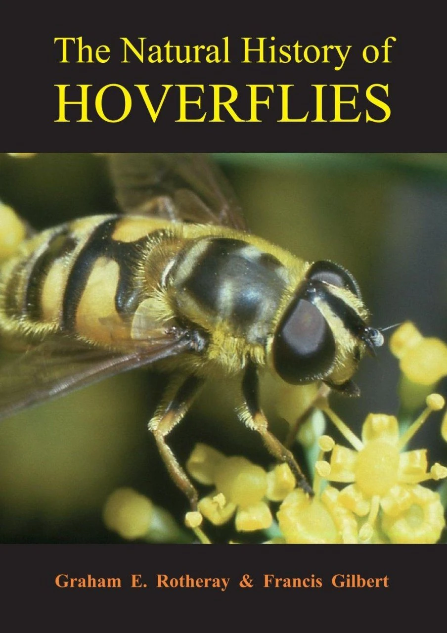 The Natural History Of Hoverflies 3 The Natural History Of Hoverflies