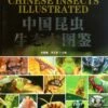 Chinese Insects Illustrated [Chinese] -Wildlife Professional Books 190939
