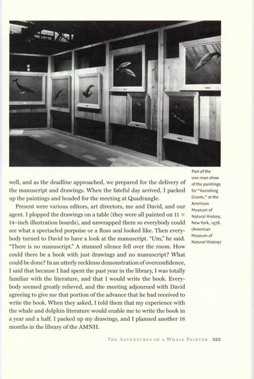 The Great Sperm Whale 6 The Great Sperm Whale - Image 4