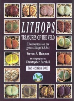Lithops – Treasures Of The Veld