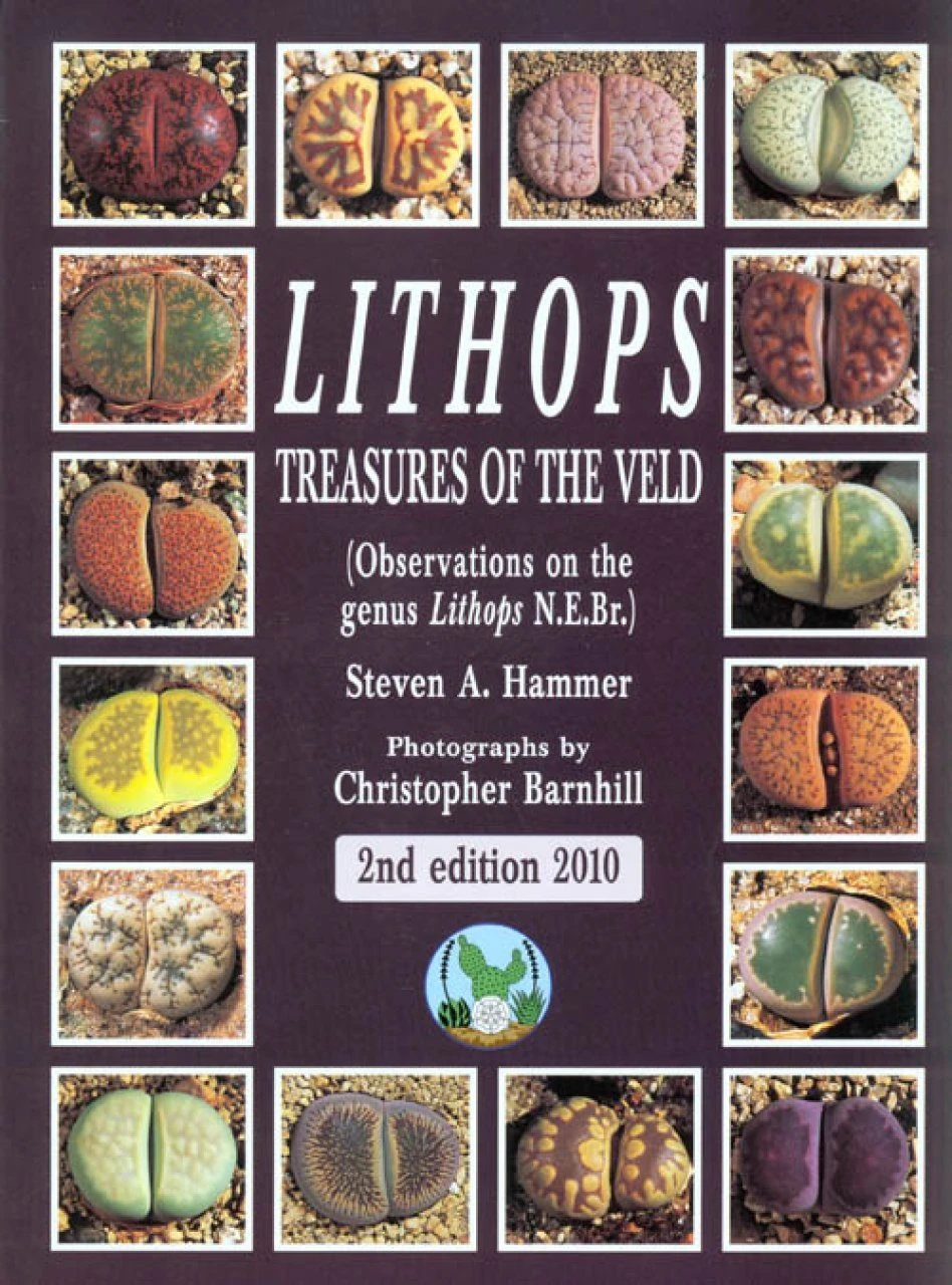 Lithops – Treasures Of The Veld 3 Lithops – Treasures Of The Veld