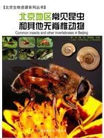 Common Insects And Other Invertebrates In Beijing [Chinese]