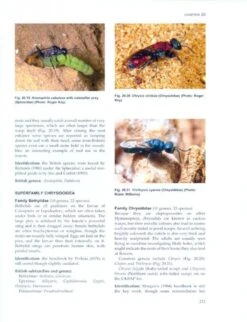 The Royal Entomological Society Book Of British Insects 17 The Royal Entomological Society Book Of British Insects -Wildlife Professional Books 191947 7