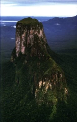 Monograph Of The Genus Genlisea 14 Monograph Of The Genus Genlisea -Wildlife Professional Books 192722 4