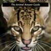 Small Wild Cats: The Animal Answer Guide 2 Small Wild Cats: The Animal Answer Guide -Wildlife Professional Books 192750
