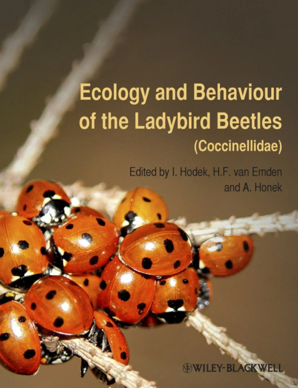 Ecology And Behaviour Of The Ladybird Beetles (Coccinellidae) 3 Ecology And Behaviour Of The Ladybird Beetles (Coccinellidae)
