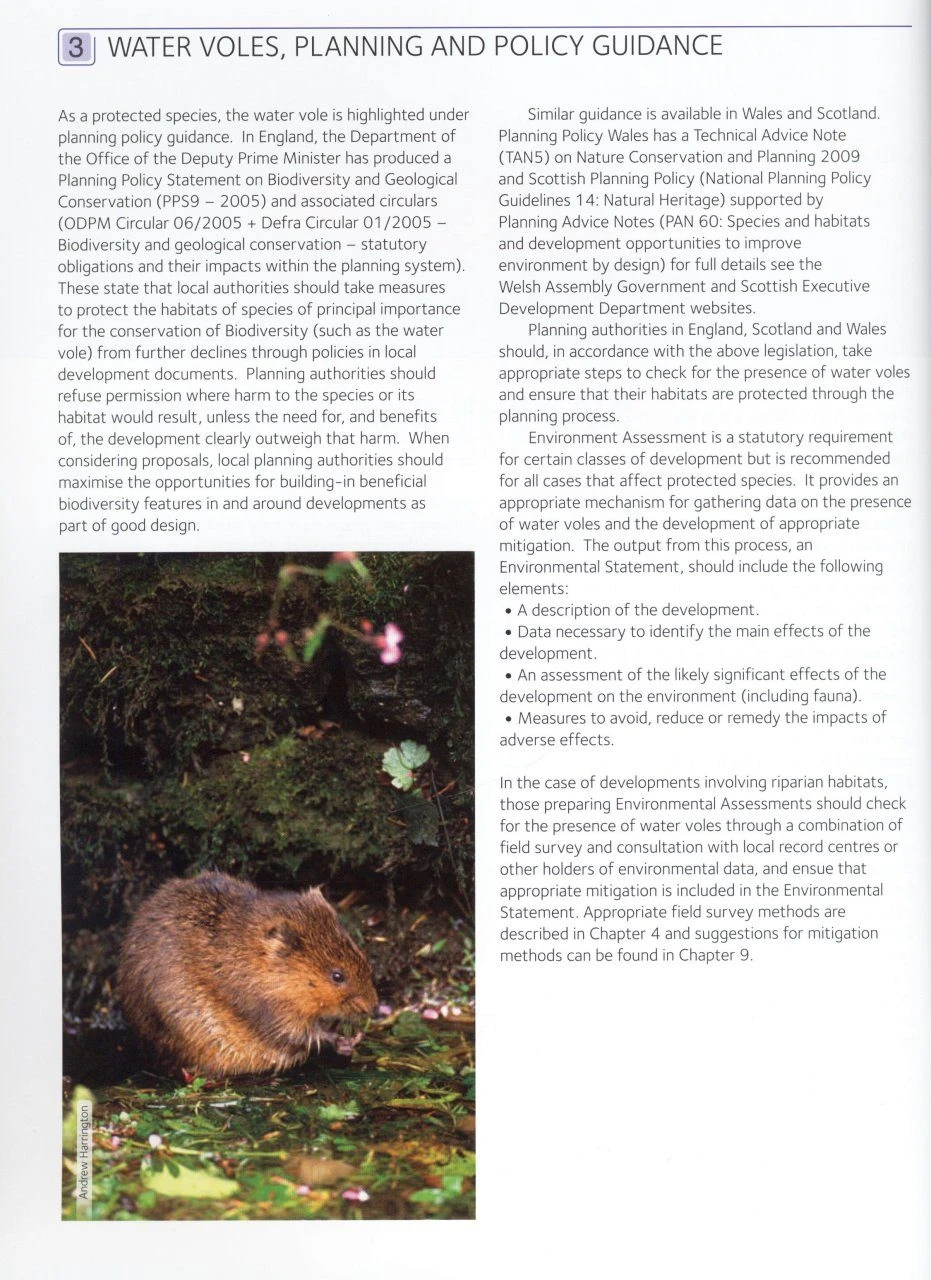 Water Vole Conservation Handbook 4 Water Vole Conservation Handbook - Image 2