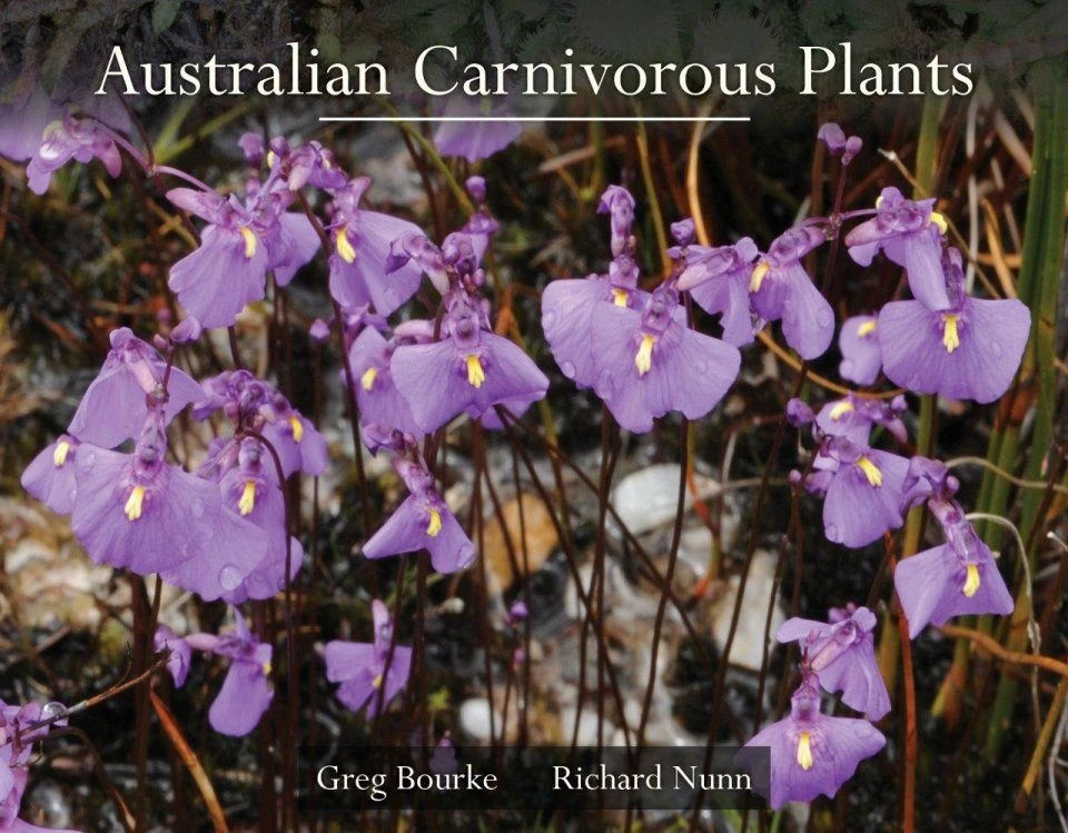 Australian Carnivorous Plants 3 Australian Carnivorous Plants