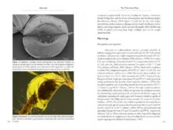 Aldrovanda 10 Aldrovanda -Wildlife Professional Books 196365 2