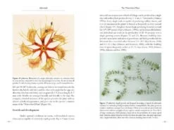 Aldrovanda 12 Aldrovanda -Wildlife Professional Books 196365 4