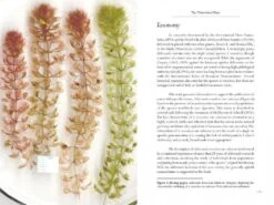 Aldrovanda 13 Aldrovanda -Wildlife Professional Books 196365 5