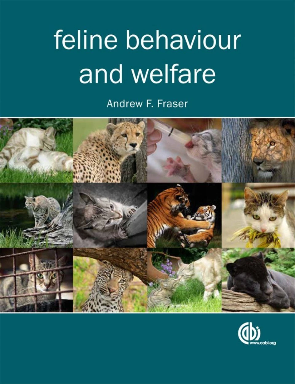 Feline Behaviour And Welfare 4 Feline Behaviour And Welfare - Image 2