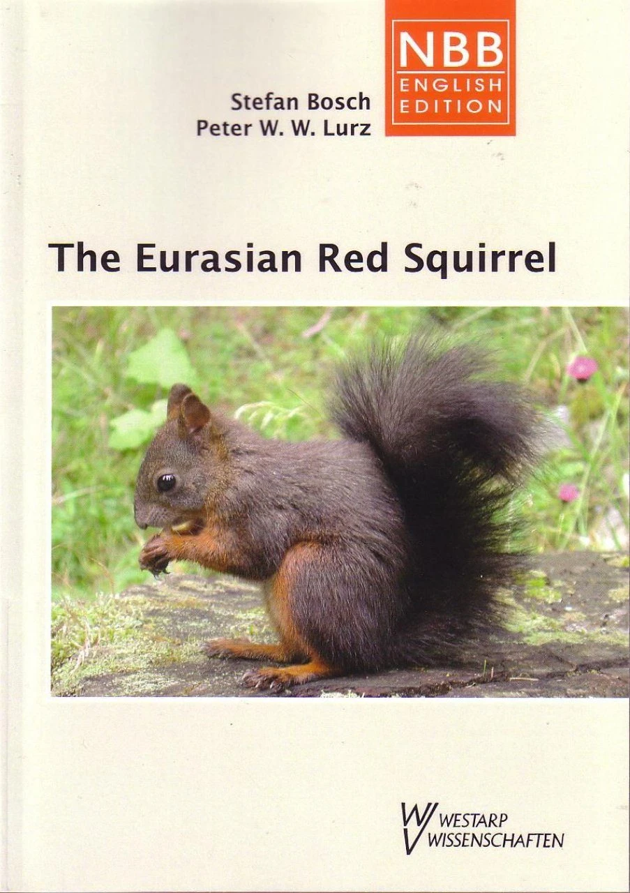 The Eurasian Red Squirrel 3 The Eurasian Red Squirrel
