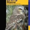 Birding Maine 1 Birding Maine -Wildlife Professional Books 197919