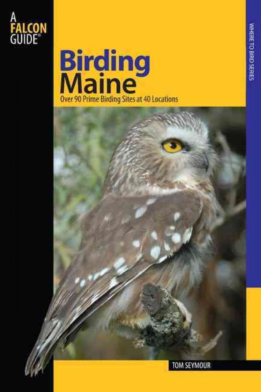 Birding Maine 3 Birding Maine